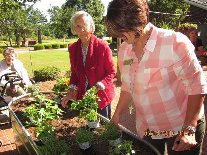 Retirement community residents plant a vegetable garden photo gallery.